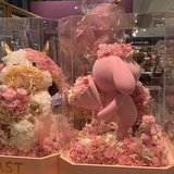 有超能力的256