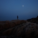 人类就是馒头鸭