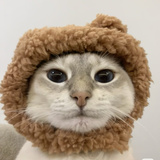 千光照