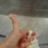 晚晚