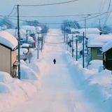 十里繁花绽未休