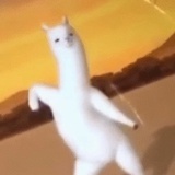 崂山仙姑投资人