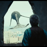 萌萌哒的鸭嘴兽