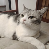 duyu