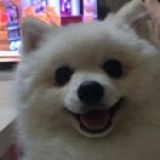 刘小西