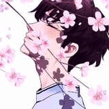 桃花诺