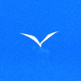 终有归处嫣然笑