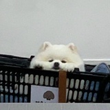 李楂