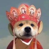 懒得和你比懒呀