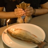 生日猫