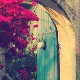 New Dream