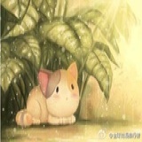 樱