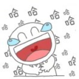 愚人🐱