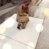 微光