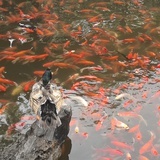 和风会畅