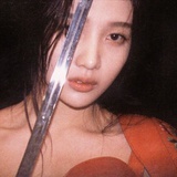 黑丝绒松鼠