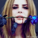 小猪baby