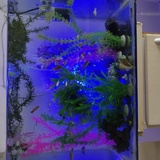 天福