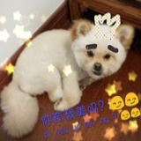 babyAli