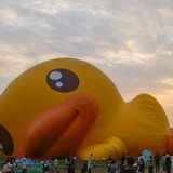 躺平鸭