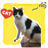 魔王大人的忧桑