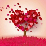 淡笔青春，凉薄