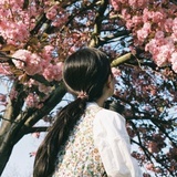 如见春星树影中