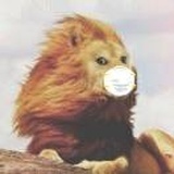 今朝有酒今朝醉的朝