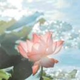 豆友Wc-l0U2yc0