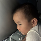 韫宝240618