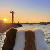 O泡果奶OOO