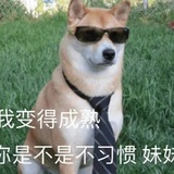 桃如妍