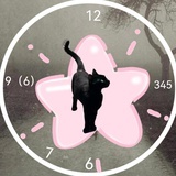 小玄猫10
