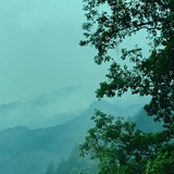 楚藜