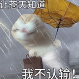 不吃饭循环