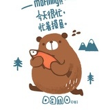 摸鱼的灰熊