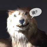海胆盖饭