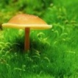 蓦然逝水