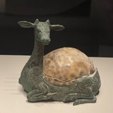 鹿九泽