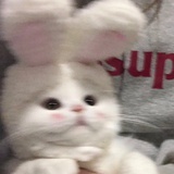 Wwww7