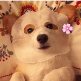 大月巴