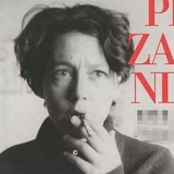 秋风里一捧芦苇