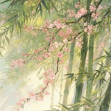 张依薇