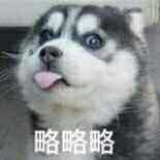 快来叫我挥大街