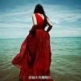 杨杨是个小白羊