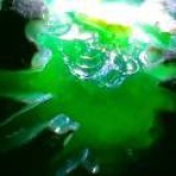 豆友5nzrw64VXM