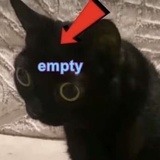 lwwvvs