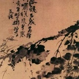 徐枕流