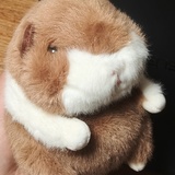 U果U