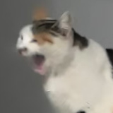 塔下修